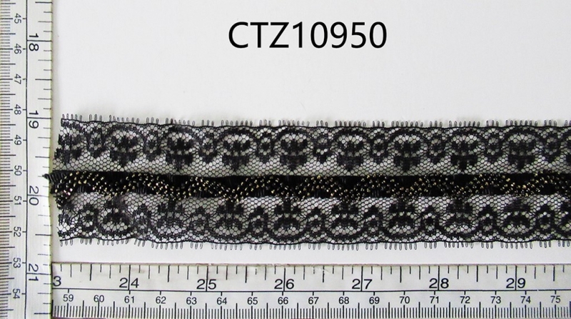 CTZ10950