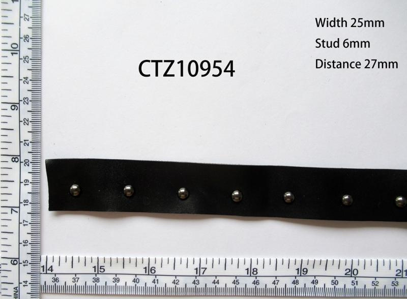 CTZ10954