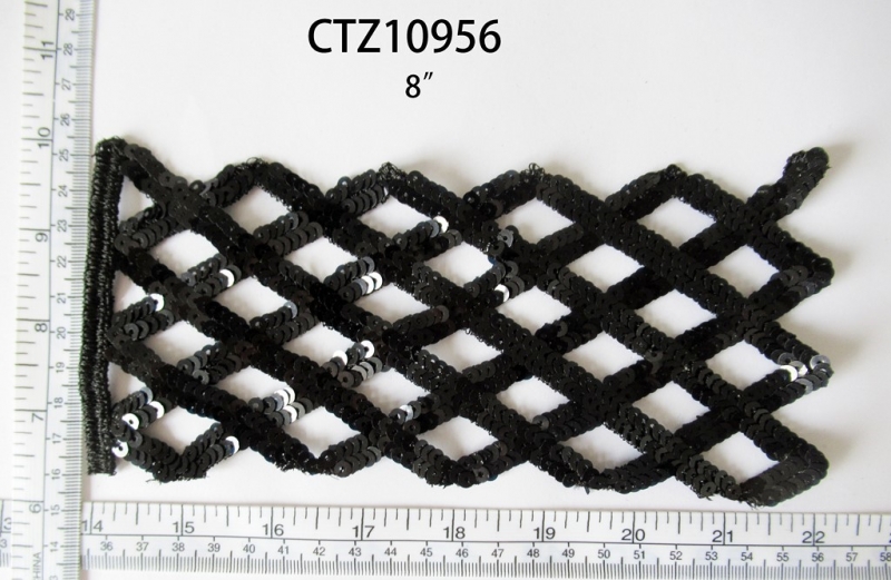 CTZ10956