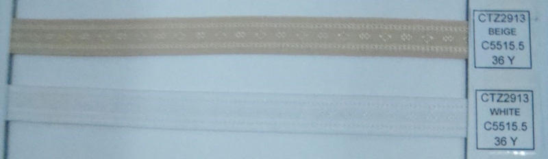 CTZ2913