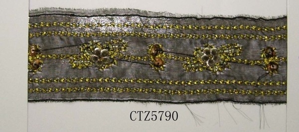CTZ5790.2