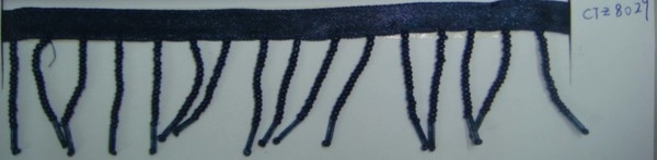 CTZ8029