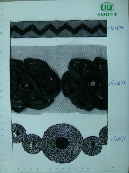 CTZ8674-8676