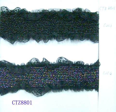 CTZ8801