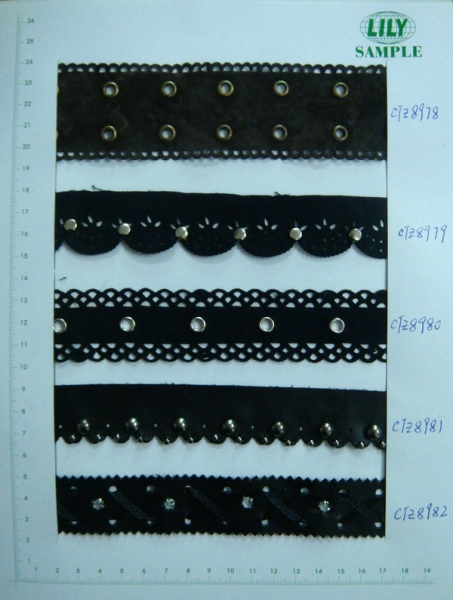 CTZ8978-8982