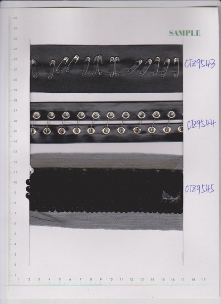 CTZ9543-CTZ9545