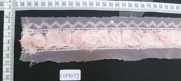 CTZ9577