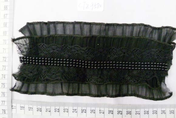 CTZ9580