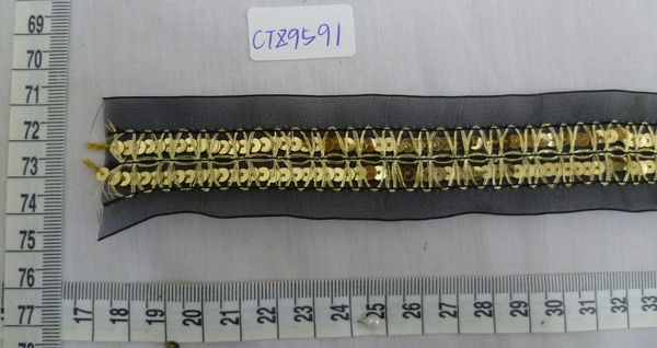 CTZ9591