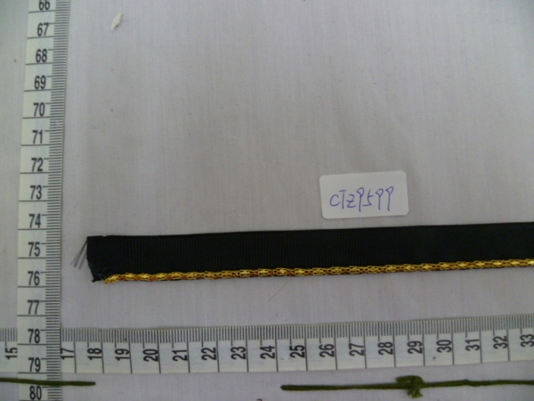 CTZ9599