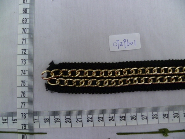 CTZ9601
