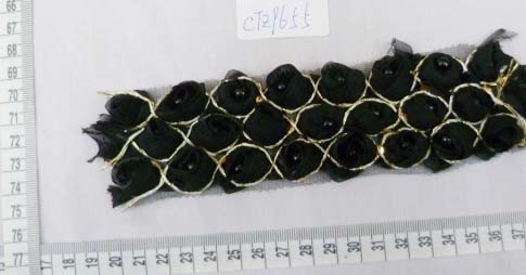 CTZ9655