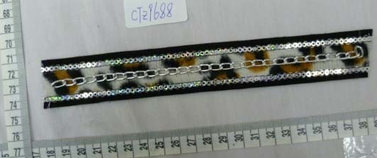 CTZ9688