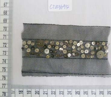 CTZ9695