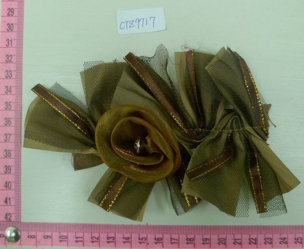 CTZ9717