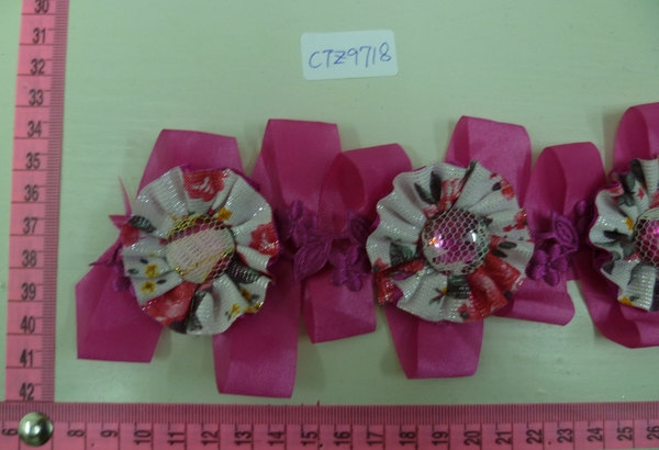 CTZ9718
