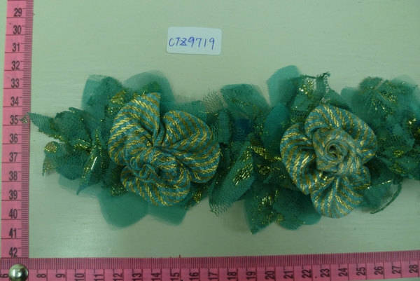 CTZ9719