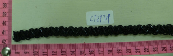 CTZ9729