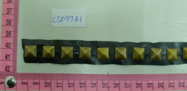 CTZ9731