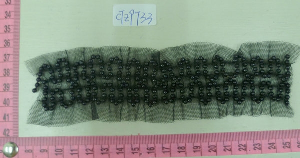 CTZ9733