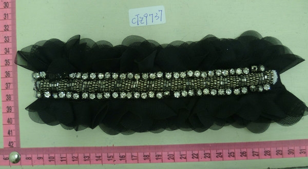 CTZ9737