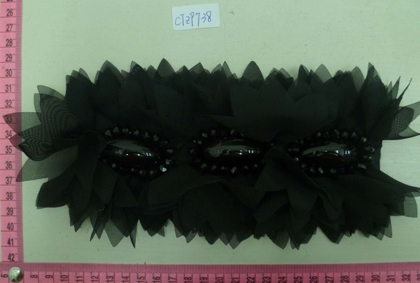 CTZ9738