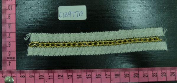 CTZ9770