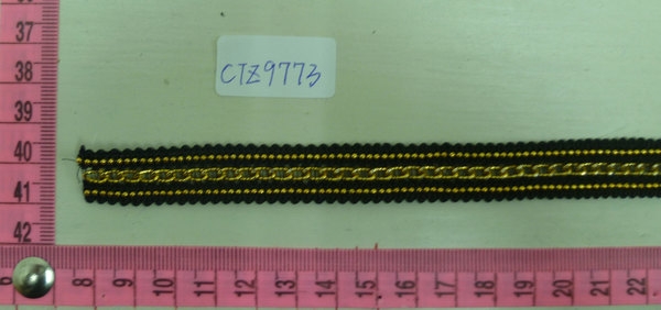 CTZ9773