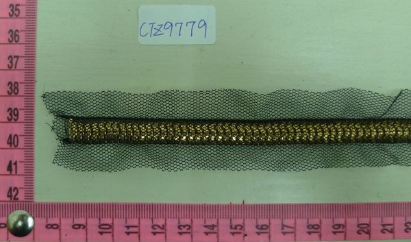 CTZ9779
