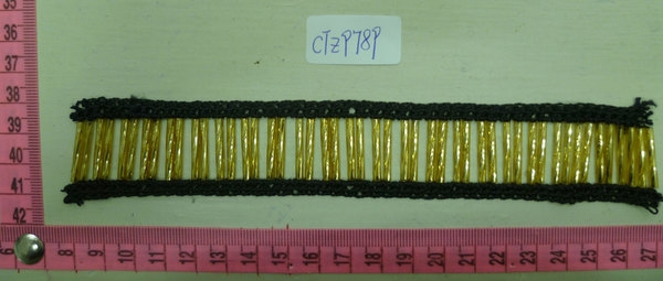 CTZ9789
