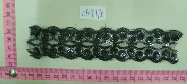 CTZ9795