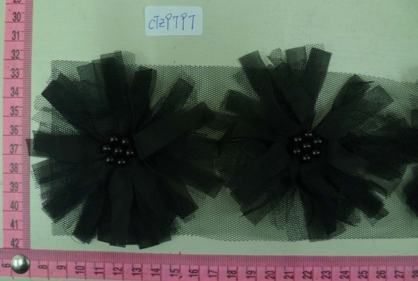 CTZ9797