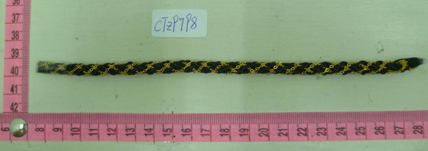 CTZ9798