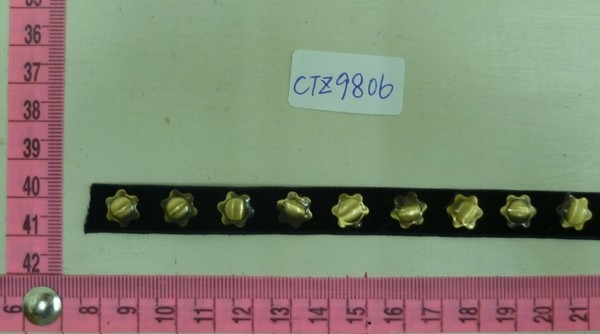 CTZ9806