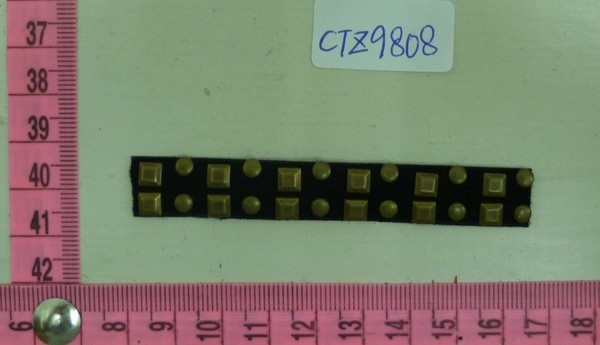 CTZ9808