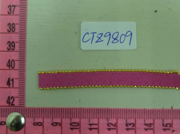 CTZ9809