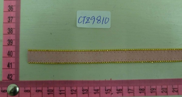 CTZ9810