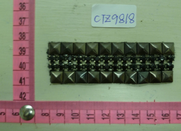 CTZ9818