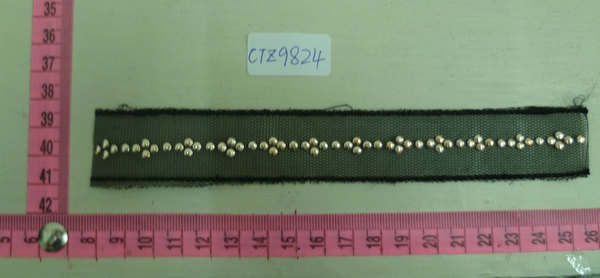 CTZ9824