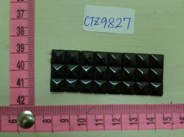 CTZ9827