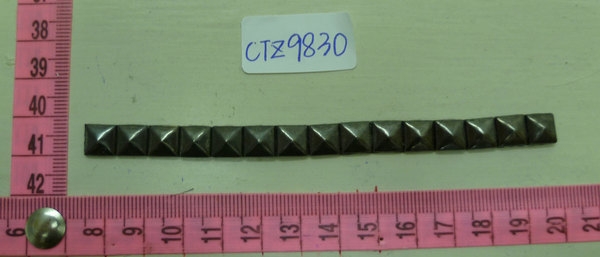 CTZ9830