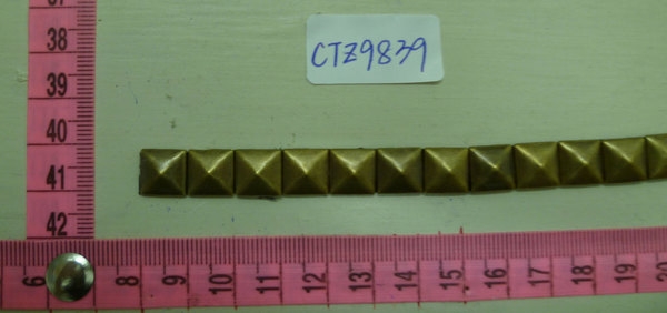 CTZ9839
