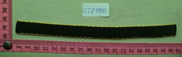 CTZ9900