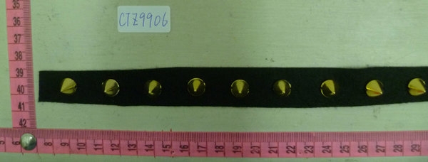 CTZ9906