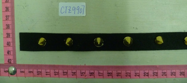 CTZ9907
