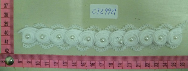 CTZ9927