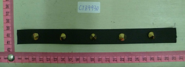 CTZ9930