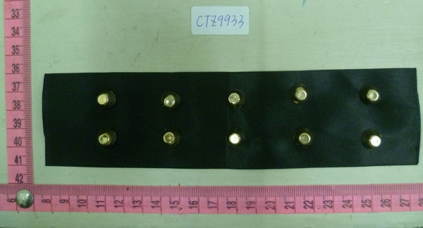 CTZ9933