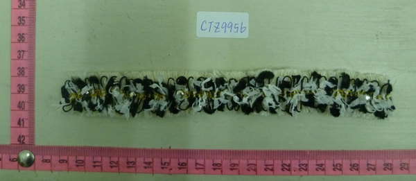 CTZ9956