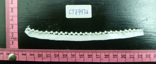 CTZ9974